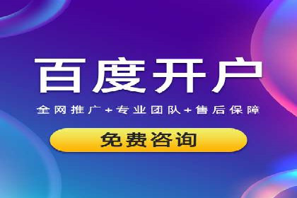 SEM代理案例：揭秘成功背后的秘密